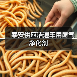 车用尿素使用方法及注意事项全解析