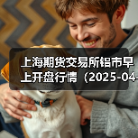 上海期货交易所铝市早上开盘行情（2025-04-11 09:03）（图3）