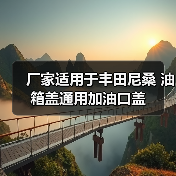 厂家适用于丰田尼桑 油箱盖通用加油口盖(图3) 厂家适用于丰田尼桑 油箱盖通用加油口盖(图3)