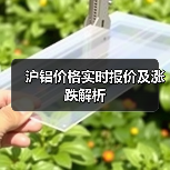 沪铝价格实时报价及涨跌解析（图3）
