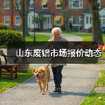 山东废铝市场报价动态（图4）