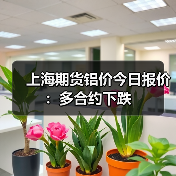 上海期货铝价今日报价:多合约下跌(图3) 上海期货铝价今日报价:多合约下跌(图3)