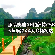 原装奥迪A6帕萨特C5B5草原狼A4大众斯柯达速派2.82.4发动机（图1）