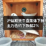 沪铝期货午盘集体下挫 主力合约下跌超2%(图1) 沪铝期货午盘集体下挫 主力合约下跌超2%(图1)