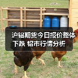 沪铝期货今日报价整体下跌 铝市行情分析（图1）