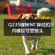 Q235镀锌90°异径扣压内螺纹弯管接头（图4）