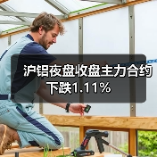 沪铝夜盘收盘主力合约下跌1.11%(图2) 沪铝夜盘收盘主力合约下跌1.11%(图2)