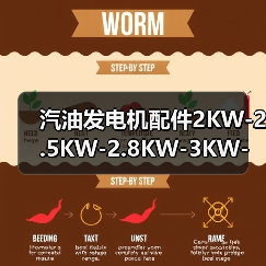 汽油发电机配件2KW-2.5KW-2.8KW-3KW-全铜电机-定子-转子（图3）
