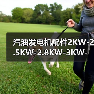 汽油发电机配件2KW-2.5KW-2.8KW-3KW-全铜电机-定子-转子（图2）