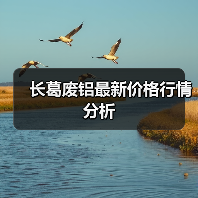 长葛废铝最新价格行情分析（图2）