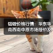 铝锭价格行情：华东华南西南中原市场报价及涨跌分析（图2）