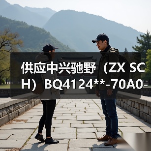 供应中兴驰野（ZX SCH）BQ4124**-70A0- 室内顶灯Indoor lamp（图2）