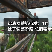 铝消费蓄势待发:1月处于调整阶段 总消费量约386.69万吨(图4) 铝消费蓄势待发:1月处于调整阶段 总消费量约386.69万吨(图4)
