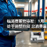 铝消费蓄势待发:1月处于调整阶段 总消费量约386.69万吨(图2) 铝消费蓄势待发:1月处于调整阶段 总消费量约386.69万吨(图2)