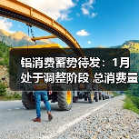 铝消费蓄势待发:1月处于调整阶段 总消费量约386.69万吨(图3) 铝消费蓄势待发:1月处于调整阶段 总消费量约386.69万吨(图3)