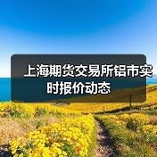 上海期货交易所铝市实时报价动态(图3) 上海期货交易所铝市实时报价动态(图3)