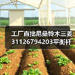 工厂直批尼桑铃木三菱31126794203平衡杆 拉杆 球头 摆臂 控制臂（图2）