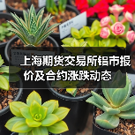 上海期货交易所铝市报价及合约涨跌动态
