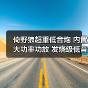 倚野狼超重低音炮 内置大功率功放 发烧级低音 SUBWOOFER(图4) 倚野狼超重低音炮 内置大功率功放 发烧级低音 SUBWOOFER(图4)