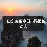 山东废铝今日市场报价动态（图4）