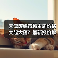 天津废铝市场本周价格大起大落？最新报价解析（图3）