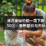 清远废铝价格一周下跌50元：最新报价与市场趋势（图3）