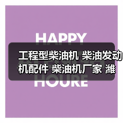 工程型柴油机 柴油发动机配件 柴油机厂家 潍坊专业供应商（图1）