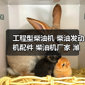 工程型柴油机 柴油发动机配件 柴油机厂家 潍坊专业供应商（图3）