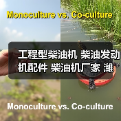 工程型柴油机 柴油发动机配件 柴油机厂家 潍坊专业供应商（图4）