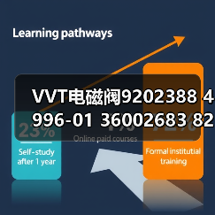 VVT电磁阀9202388 4996-01 36002683 8202388 9202388（图3）