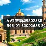 VVT电磁阀9202388 4996-01 36002683 8202388 9202388（图2）