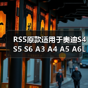 RS5原款适用于奥迪S4 S5 S6 A3 A4 A5 A6L大众CC迈腾18寸改装轮毂（图2）