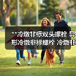 **冷墩非标双头螺栓 异形冷墩非标螺栓 冷墩非标螺栓 厂家（图2）