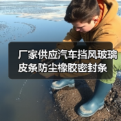 厂家供应汽车挡风玻璃皮条防尘橡胶密封条（图2）