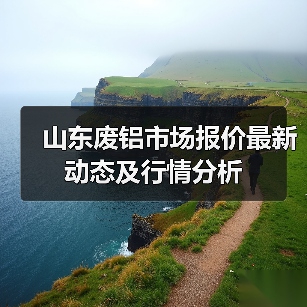 山东废铝市场报价最新动态及行情分析（图2）
