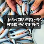 中铝公司铝锭氧化铝今日销售报价实时行情（图1）