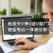批发天V悍V途V原厂驾驶室电动一体液压泵5001150-D979E（图3）