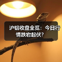 沪铝收盘全览:今日行情跌宕起伏?(图4) 沪铝收盘全览:今日行情跌宕起伏?(图4)