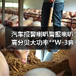 汽车报警喇叭警报喇叭高分贝大功率**W-3音-5音-改装喊话喇叭（图4）