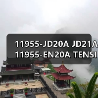 11955-JD20A JD21A 11955-EN20A TENSIONER PULLEY 涨紧轮 适用于（图3）