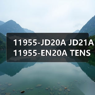 11955-JD20A JD21A 11955-EN20A 