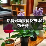 铝价最新报价及市场趋势分析（图3）