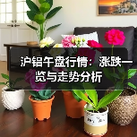 沪铝午盘行情：涨跌一览与走势分析（图1）