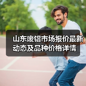 山东废铝市场报价最新动态及品种价格详情（图3）