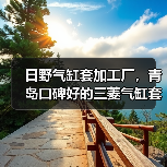 日野气缸套加工厂，青岛口碑好的三菱气缸套出售（图2）