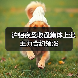 沪铝夜盘收盘集体上涨 主力合约领涨（图1）
