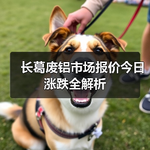 长葛废铝市场报价今日涨跌全解析（图2）