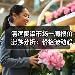 清远废铝市场一周报价涨跌分析：价格波动趋势解读（图4）
