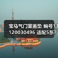 宝马气门室盖垫 编号11120030496 适配5系7系X3X5Z4（图4）