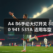 A4 B6手动大灯开关 8E0 941 531A 适用车型（图4）